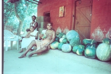 The pumpkin collection